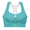 Recycled Longline Sports Bra