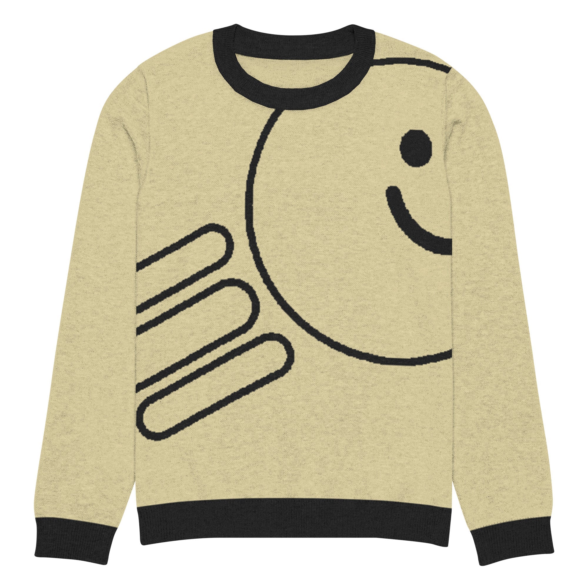 Knitted crew neck sweater